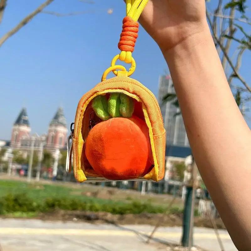 Mini Transparent Keychain Organizer Case – Earphone & Coin Bag Keychain Organizer Case Oasis Select