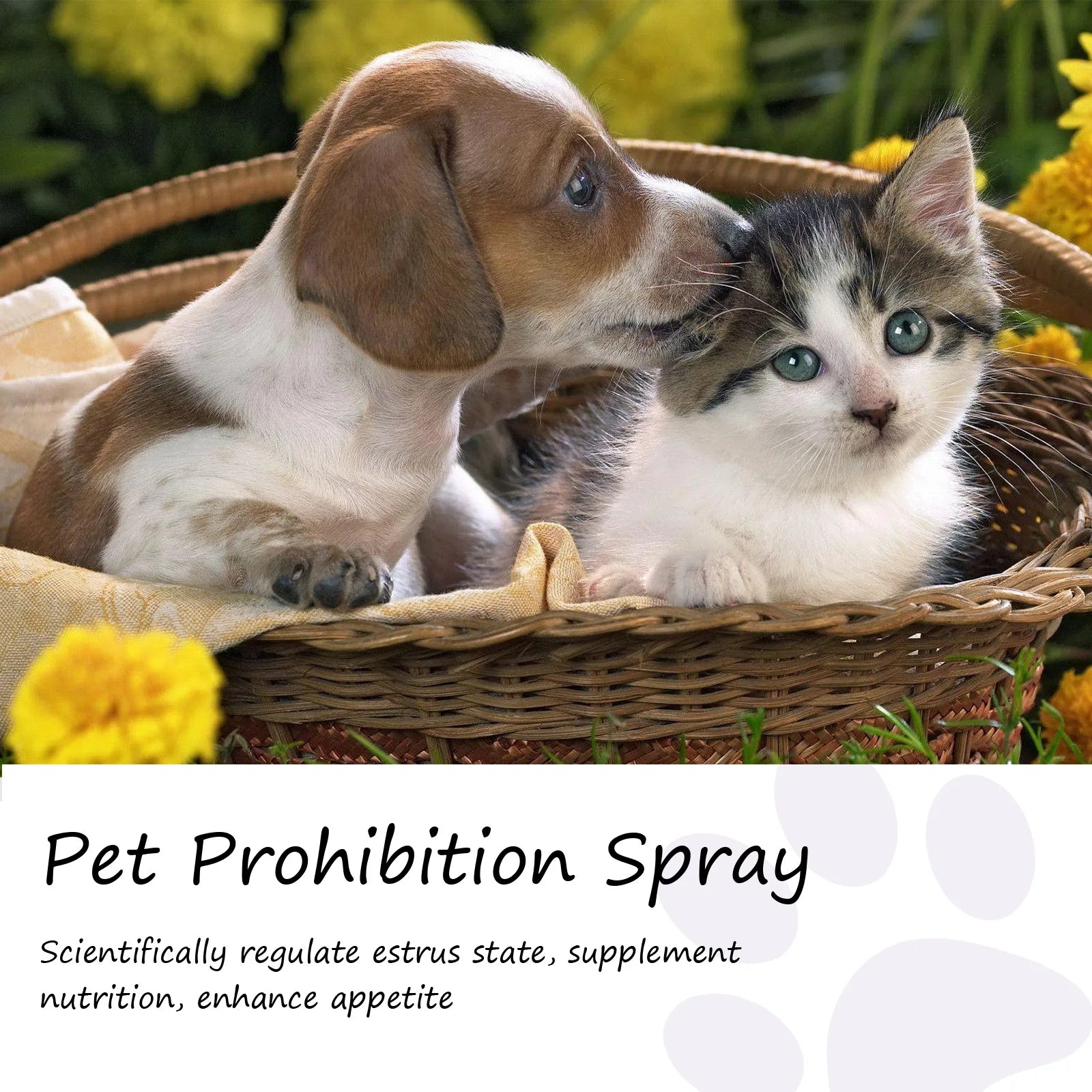 Pet Calming Spray Pheromone Mood Calming Diffuser Improve Estrus Agitation Anxiety Relief Prevent Howling Cat Dog Health Supply Oasis Select