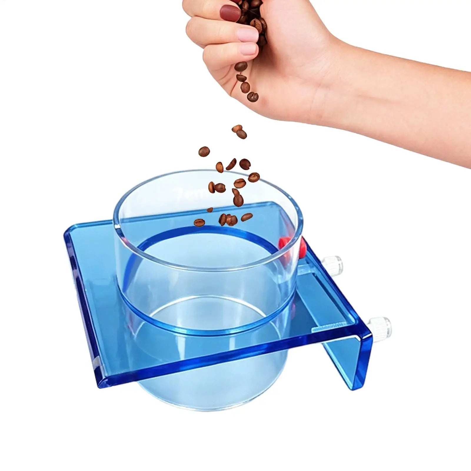 Feeding Dish Aquarium Fish Tank Reptiles Feeder Bowl with Suction Cup Acrylic Fluorescent Fish Feeding Aquarium Supplies Oasis Select