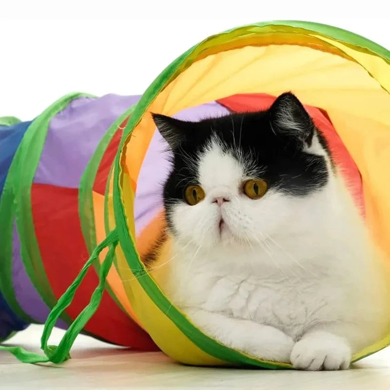 Collapsible Cat Play Tunnel Portable Interactive Entertainment Tube Multifunctional Toy for Kitten Puppy Daily Play Oasis Select