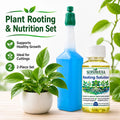 Plant Rooting & Nutrient Liquid Set – Boost Root Growth, Stem & Leaf Nutrition, Flowers, Ideal for Cuttings & Healthy Plants Oasis Select 4SET