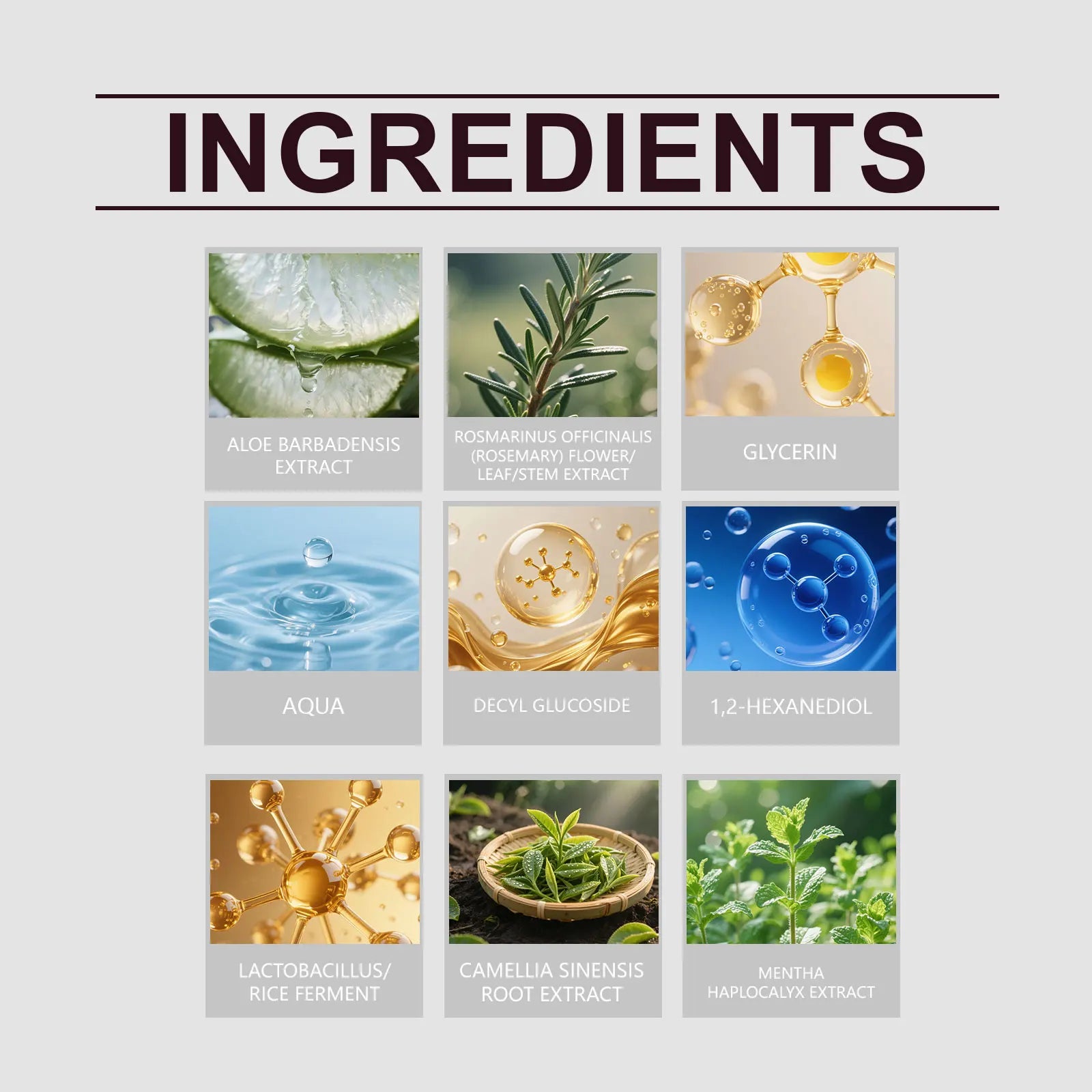 Rosemary Peppermint Shampoo, Shiny Hair Cleansing Hair Soft Fluffy Moisturizing Foam Rich Oasis Select