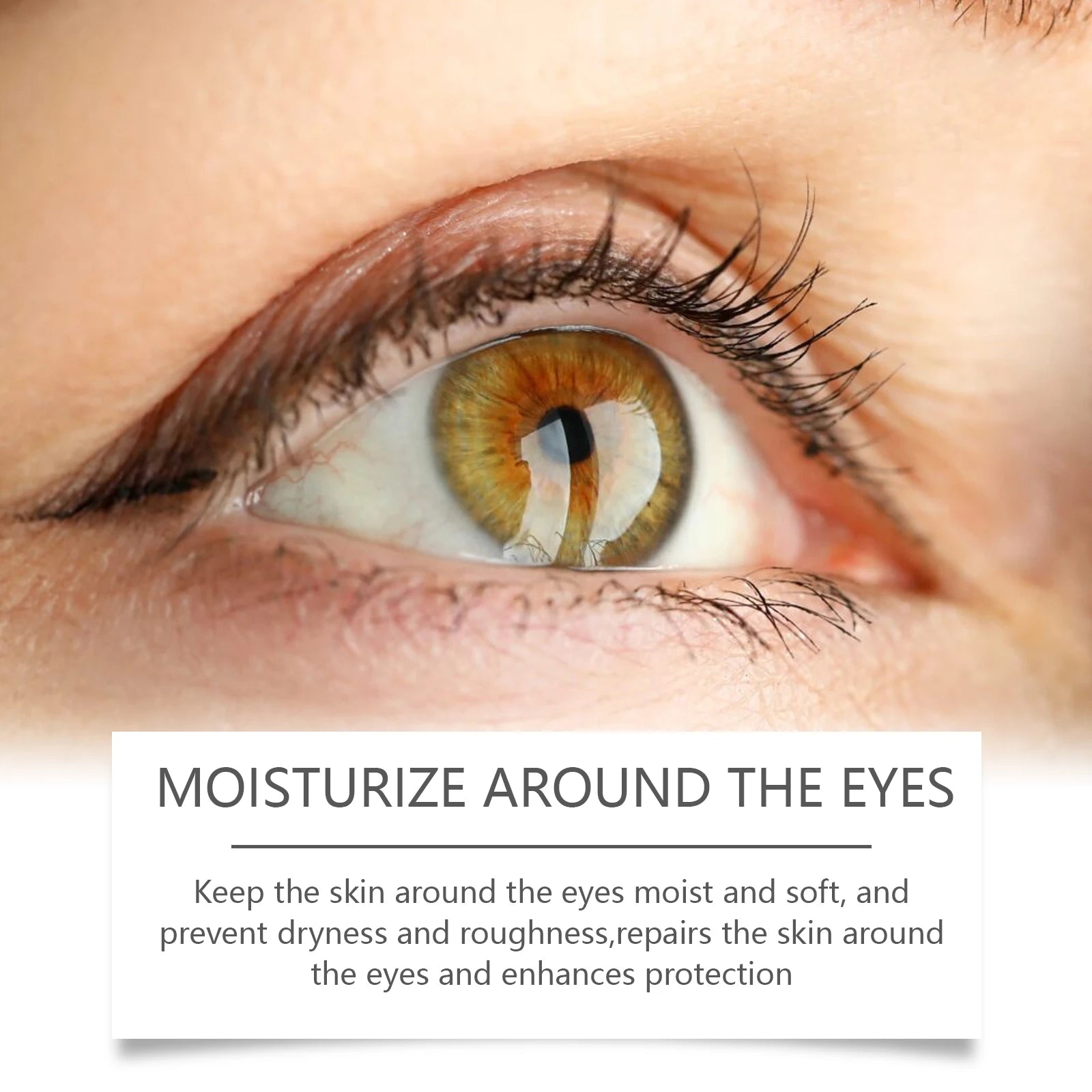 Hoygi Bee Venom Eye Cream – Dark Circles & Firming Eye Cream Oasis Select