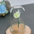 1/5 PCS Rose Under Glass Cloche – 1:12 Miniature for Dollhouse, Fairy Garden Paths & Micro Landscapes, Mini Simulation Models Oasis Select Green