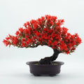 Creative simulation welcome pine potting room Zen green plant bonsai decoration fake flower decoration Oasis Select Red 24cm x 32cm