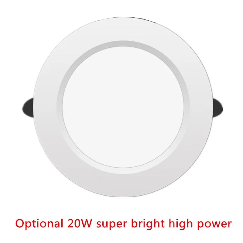 Slim Recessed LED Downlight 6W–20W AC220V | High CRI Ceiling Spot