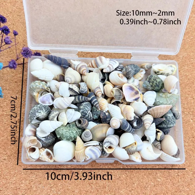 1 Box Mix Resin Simulation Pearls Shell For Home Decoration DIY Craft Photo Frame Friend Gifts Drift Bottle Aquarium Decorations Oasis Select Style 3