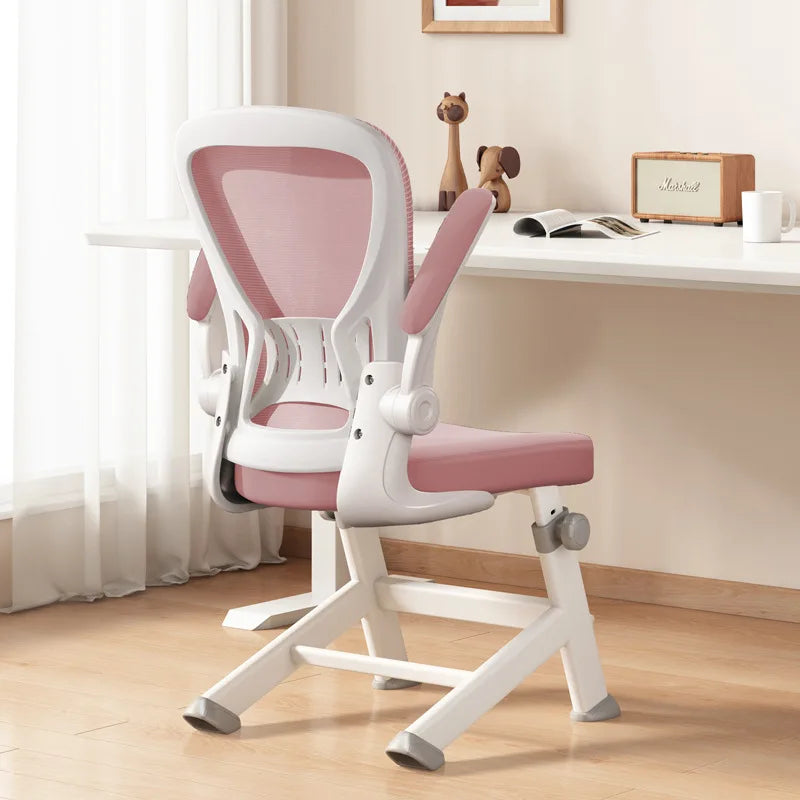 Teen Study Chair Bedroom Desk Chair Computer Chair Ergonomic Office Chair Oasis Select 5