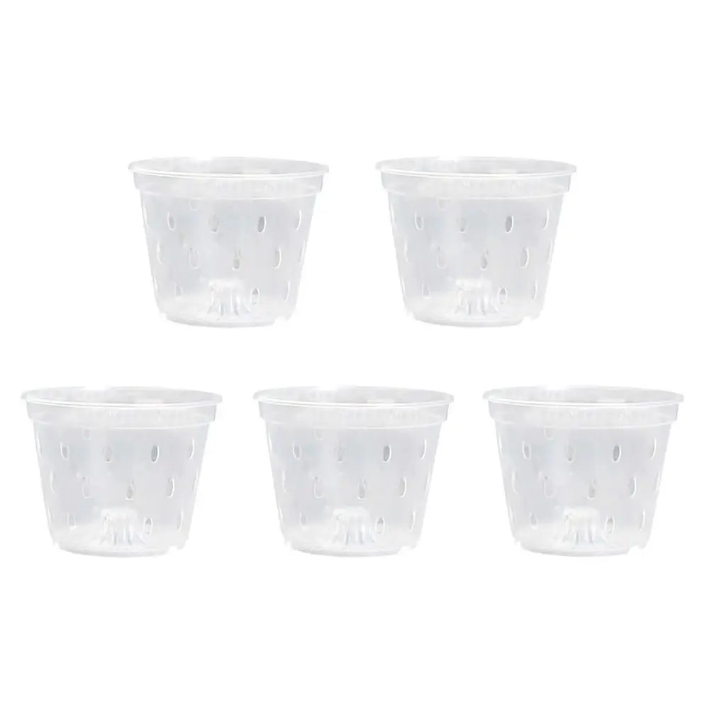 Transparent Orchid Pot with Drainage Holes & Tray | Phalaenopsis