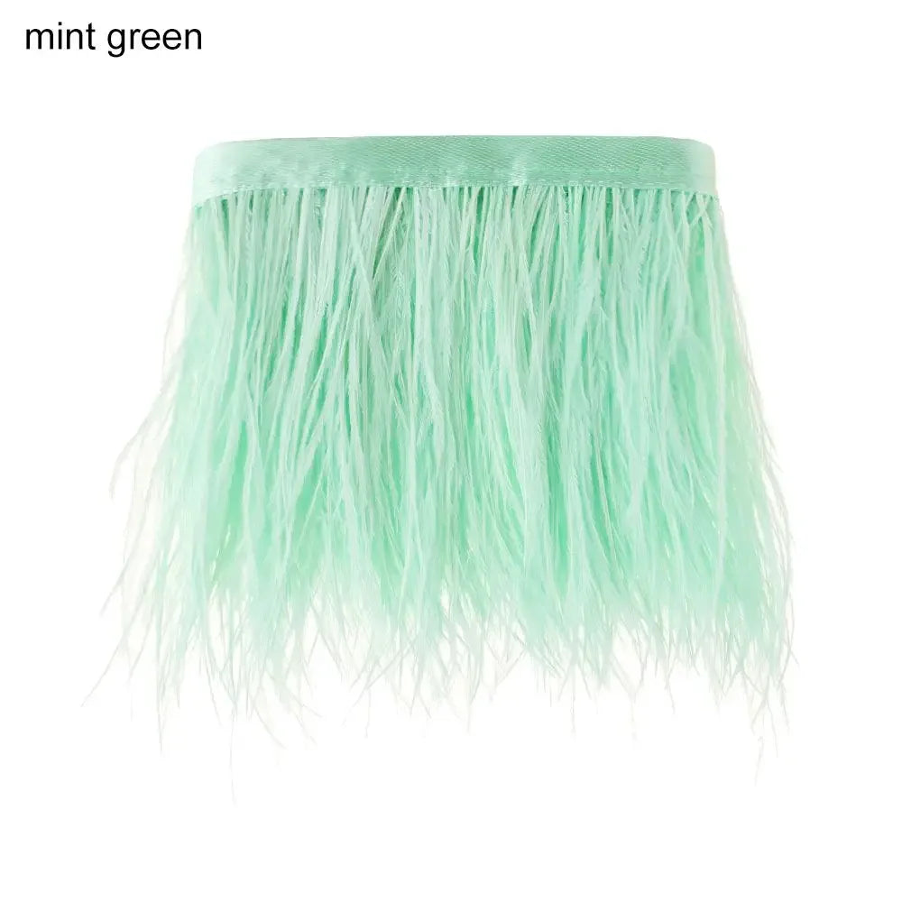 Fashion Ostrich Feathers Trim 1 Meter Long 8-10 CM Wide Plumes Ribbon Selvage DIY Dress Crafts Accessories Feathers Ribbon Oasis Select mint green