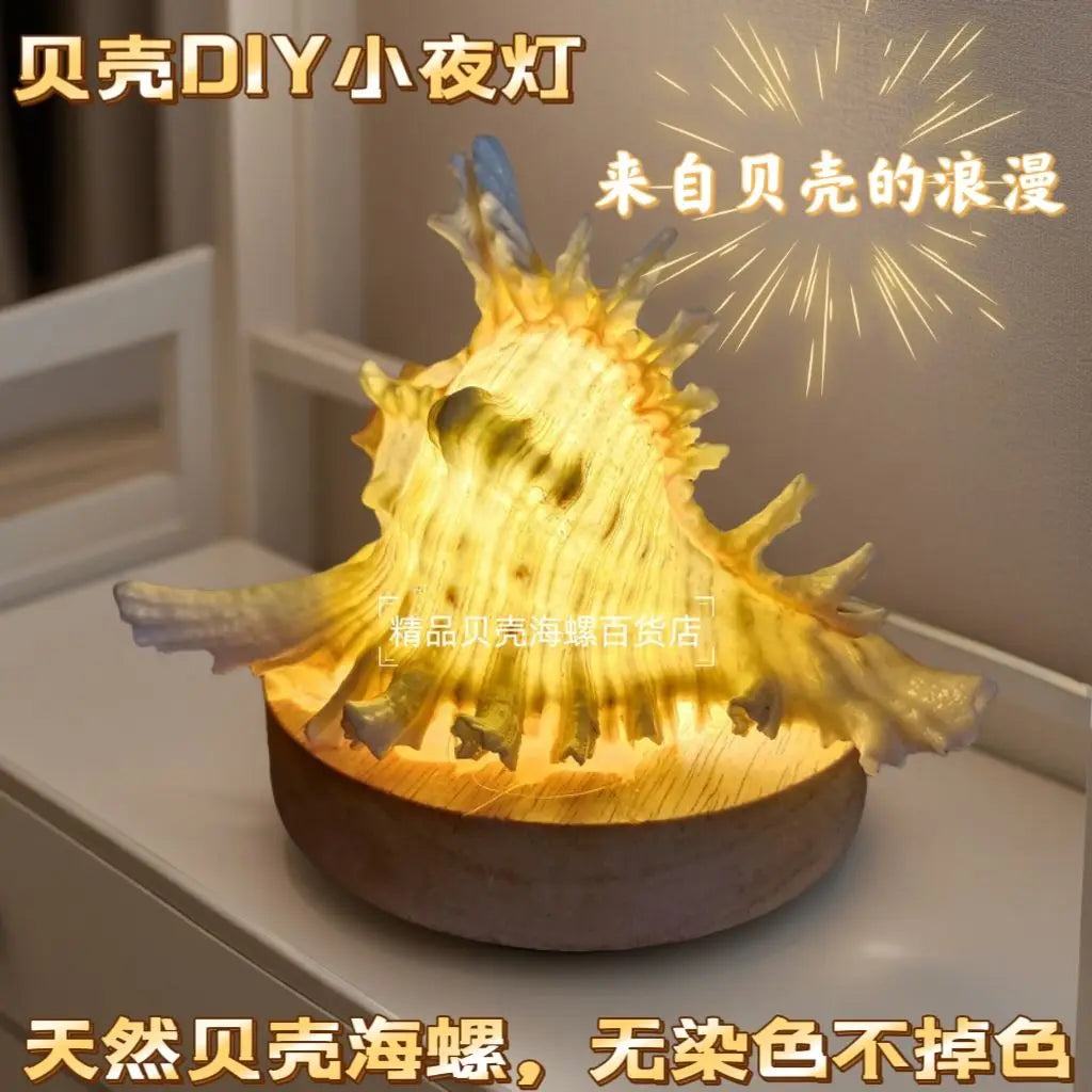 Natural Conch Sea Urchin Shell Mini Night Light Senior Children's Birthday Gift Creative Ornaments Oasis Select Antennae conch