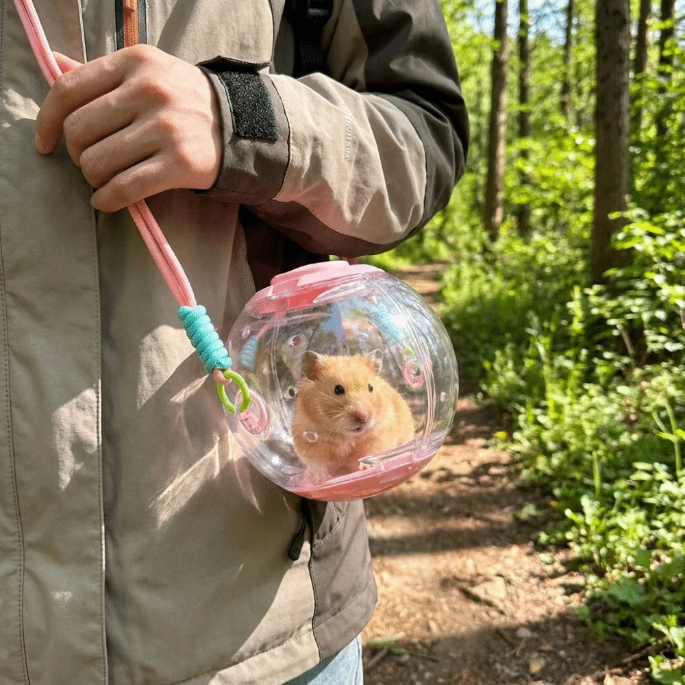 Transparent Hamster Travel Cage | Breathable & Escape-Proof