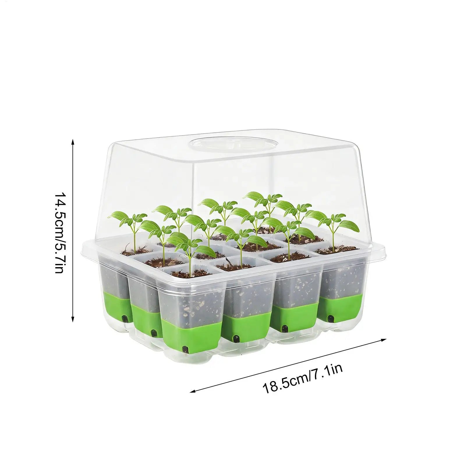pots 12-cell Seedling Starter Tray Indoor Garden Greenhouse Growth Potting with Cover Adjustable Humidity Germination Box Oasis Select