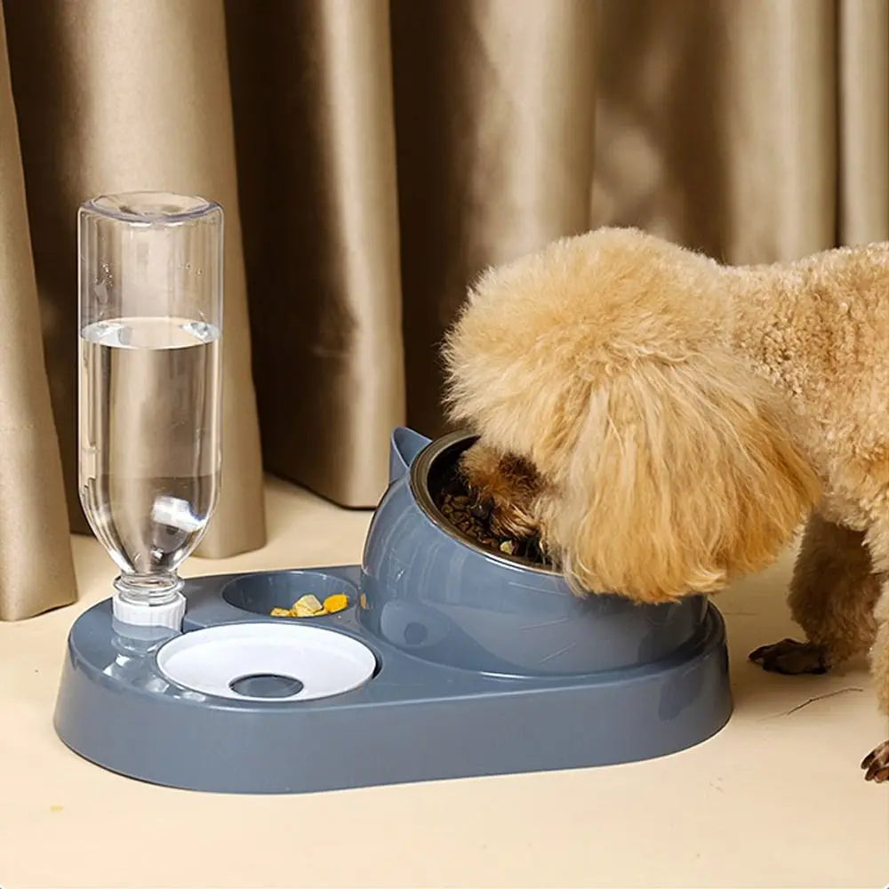 2-in-1 Cat Food & Water Bowl | Auto Refill Dry Wet Separation