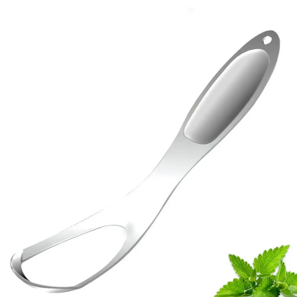 Stainless Steel Tongue Scraper Fan-Shaped Tongue Cleaner for Fresh Breath, Oral Hygiene Care Tool Coated Tongue Toothbrush Oasis Select silver