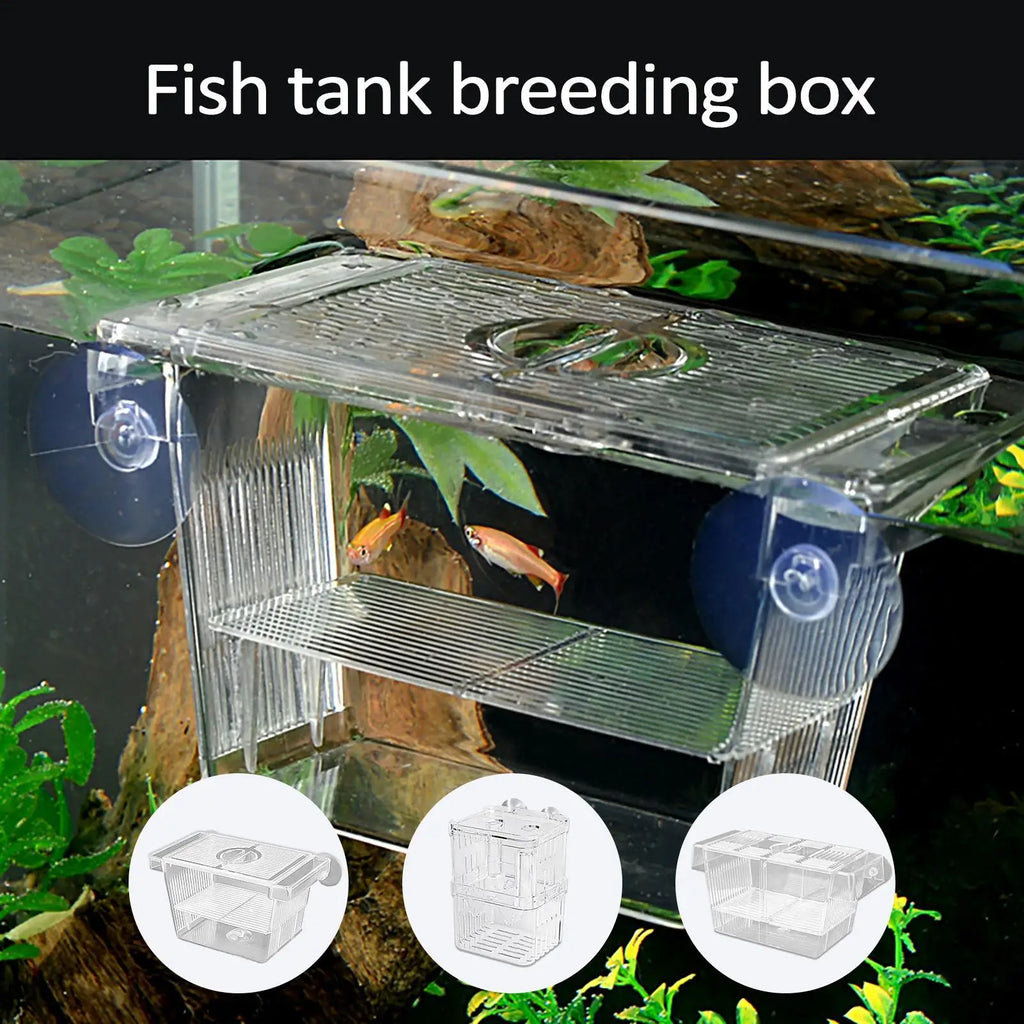 Aquarium Fish Breeder Box Clear Betta Fish Tank Fish Breeding Isolation Box Hatching Incubator Box For Baby Fish Shrimp Trap Box Oasis Select