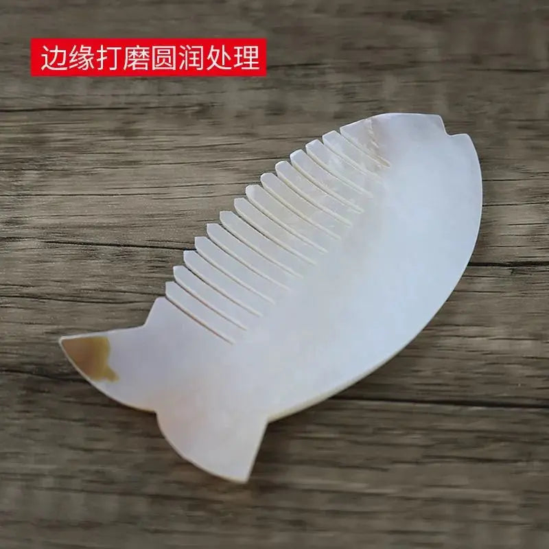 Shell Comb Natural Conch Scraping Plate Crafts Ornaments Pearl Shell Gift ocean decor sea abalone shell Oasis Select