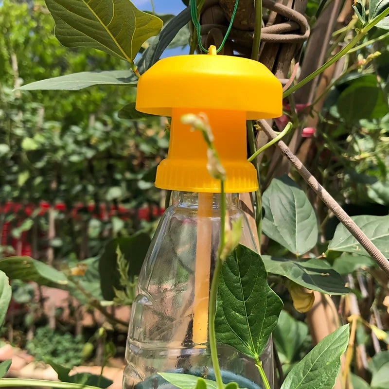 2pcs Physical Insect Traps Non-toxic Without Electricity.Suitable for Catching Beetles,for Agricultural Pest Control Trap Cover Oasis Select
