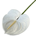 Artificial Anthurium 60cm Soft Rubber Faux Flower | Real Touch