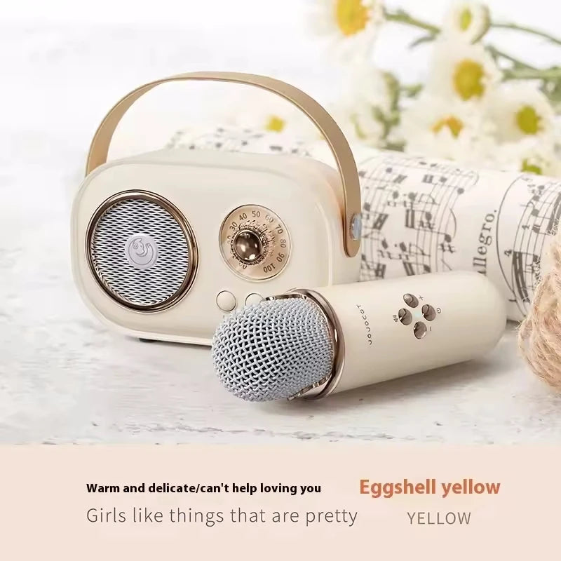 Portable Karaoke Bluetooth Speaker & Wireless Microphone | FM
