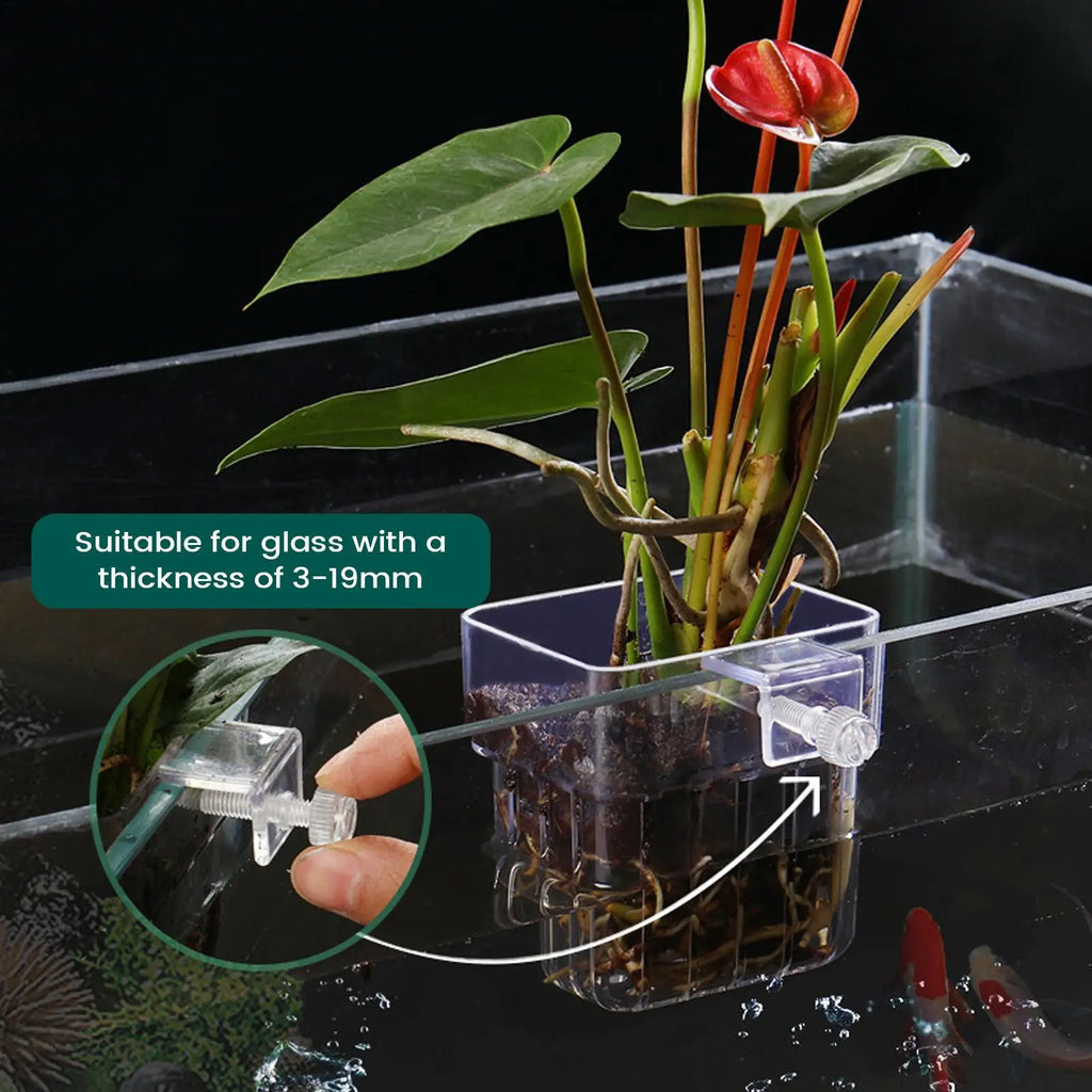 Aquarium Plant Holder Transparent Hanging Pot for Fish Tank Aquatic Plant Cultivation Aquascape Decorations Planter Holder Cups Oasis Select