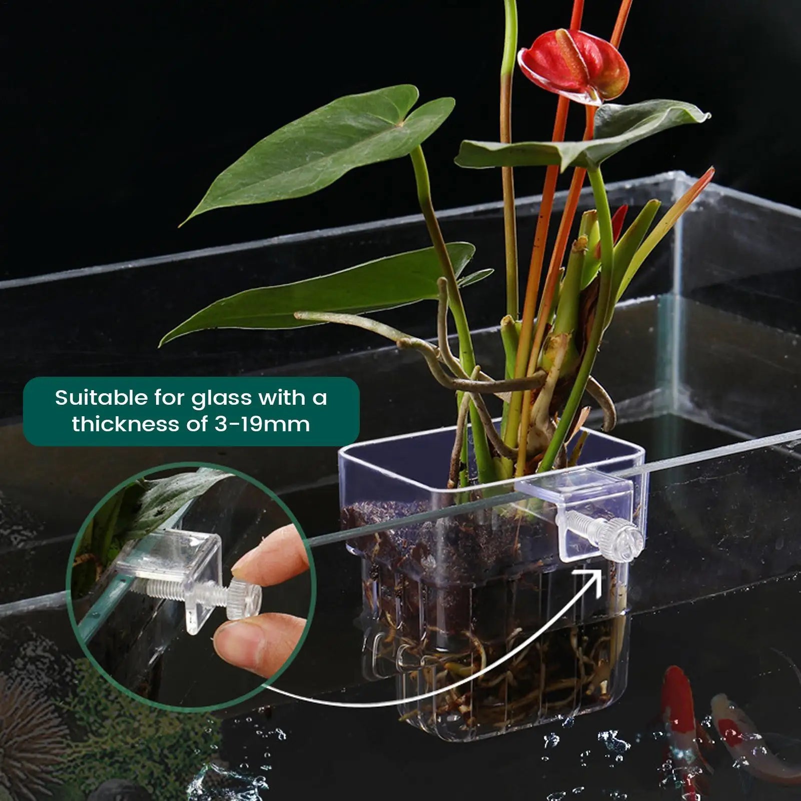 Aquarium Plant Holder Transparent Hanging Pot for Fish Tank Aquatic Plant Cultivation Aquascape Decorations Planter Holder Cups Oasis Select