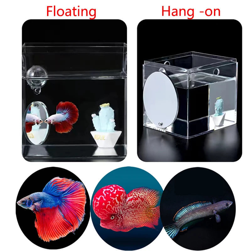 Aquarium Betta Mirror Fish Tank Floating Round Mirror for Fish Betta Flowerhorn Cichlid Training Oasis Select