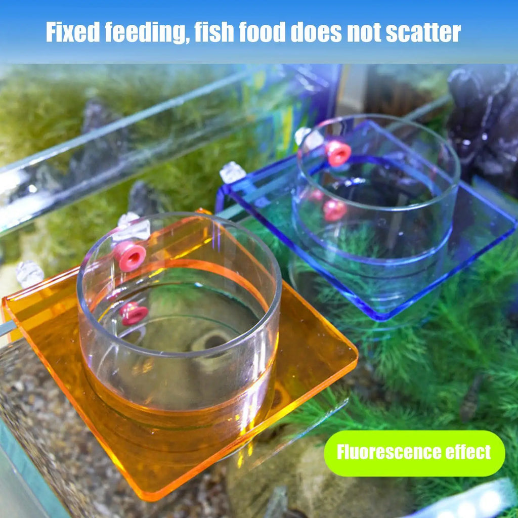 Feeding Dish Aquarium Fish Tank Reptiles Feeder Bowl with Suction Cup Acrylic Fluorescent Fish Feeding Aquarium Supplies Oasis Select
