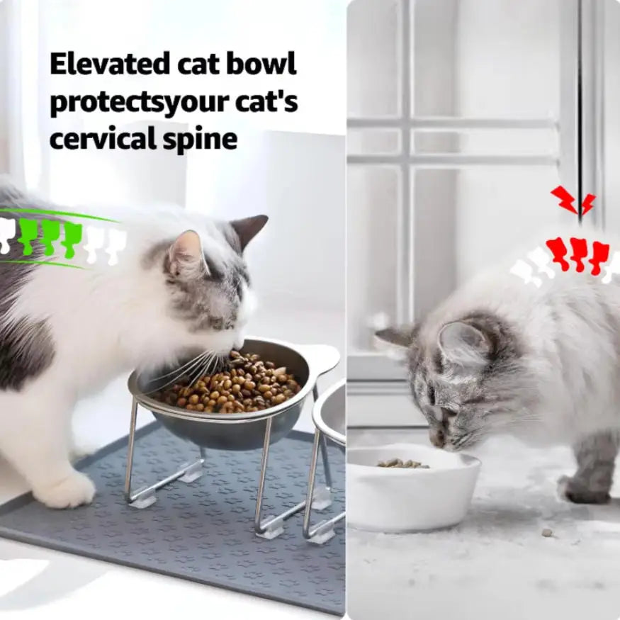 304 Stainless Steel Raised Cat Bowl | 15° Tilted Elevated Design
