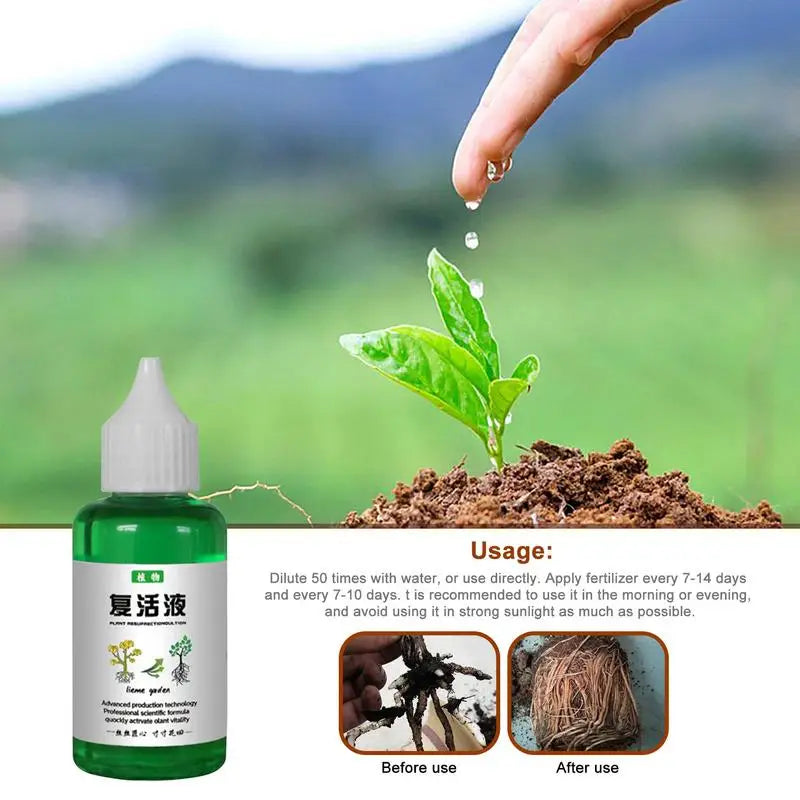 Plant Revitalizer Resurrection Liquid 50ml Fertilizing Liquid Concentrate Fertilizing Liquid Concentrate Plant Promotes Growth Oasis Select