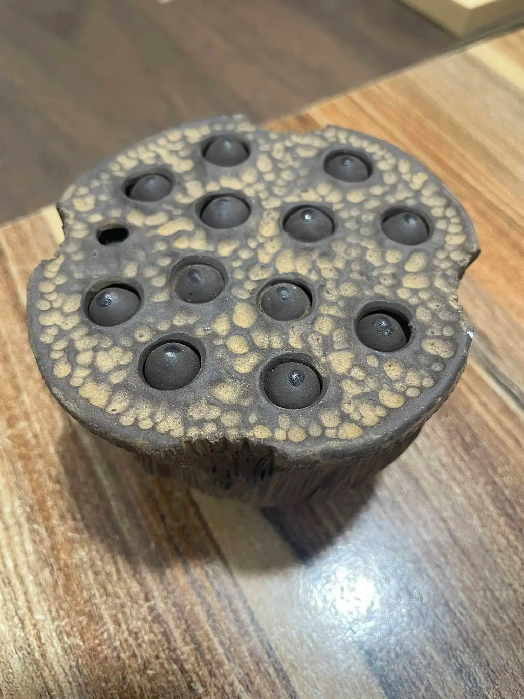 Yixing Zisha Tea Pet Lotus Pod Ornament Old Lotus Seed Sculpture Craft Tea Set Tea Ceremony Ceramic Accessories Miscellaneous Oasis Select Style Five