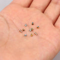 Hot Sale 12pcs/set For IPod Classic Screws Cross Screws Repair Replacement IPC IPV Assembly Accessories Oasis Select Default Title