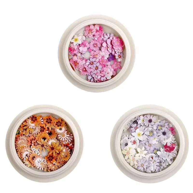1/3/4Pcs Mixed-color Dried Flowers Resin Craft Dry Flowers Nail Art Decoration Natural Ultra-thin Mini Nail Flowers Oasis Select 06-07-09