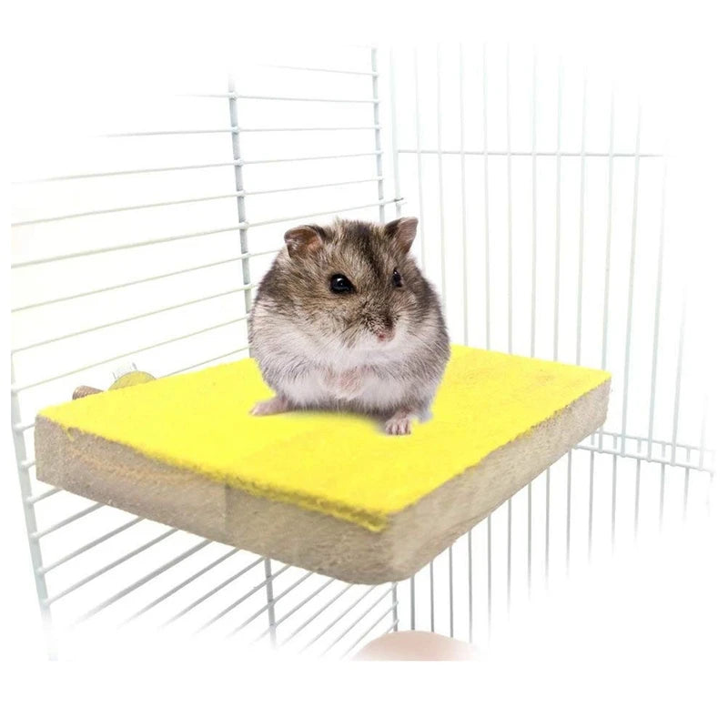 Bird Perch Stand Platform Natural Wood Playground Paws Grinding Clean For Pet Parrot Budgies Parakeet Cockatiels Conure Lovebird Oasis Select
