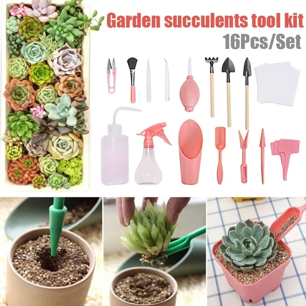 DIY Bonsai & Succulent Planting Tool Kit – 12/16 Pcs Garden Set