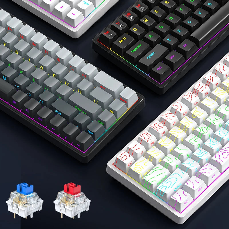 APAYADO A68 Hot-Swappable Mechanical Keyboard, 68-Key Compact, RGB Backlight, Blue/Red Switch Options, NKRO for Gaming Oasis Select