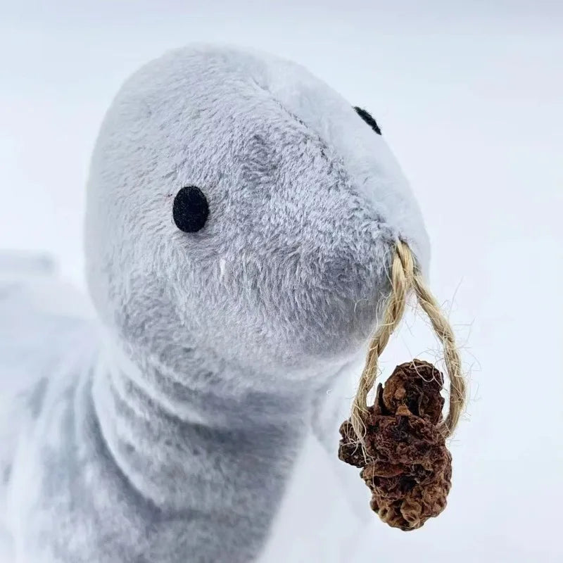 1Pcs Pet Supplies Plush Catnip Bionic Seal Cat Teaser Toy Gnawing Gall Fruit Grinding Teeth Cleaning Safety Material Oasis Select