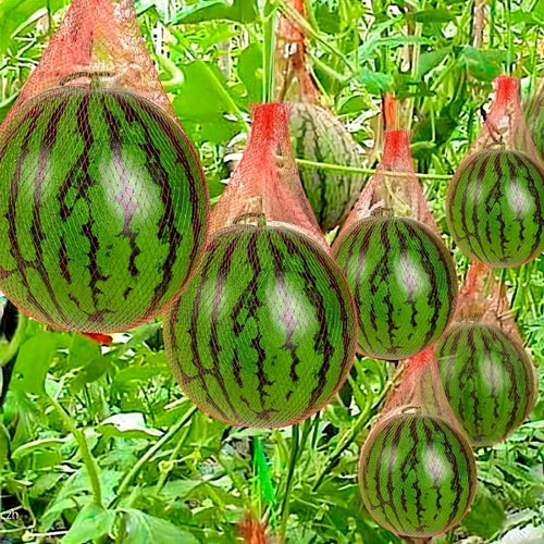 100 Pieces of Heavy-Duty Plastic Garden Netting Suitable for Watermelon Vertical Planting and Hammock with Straps Oasis Select
