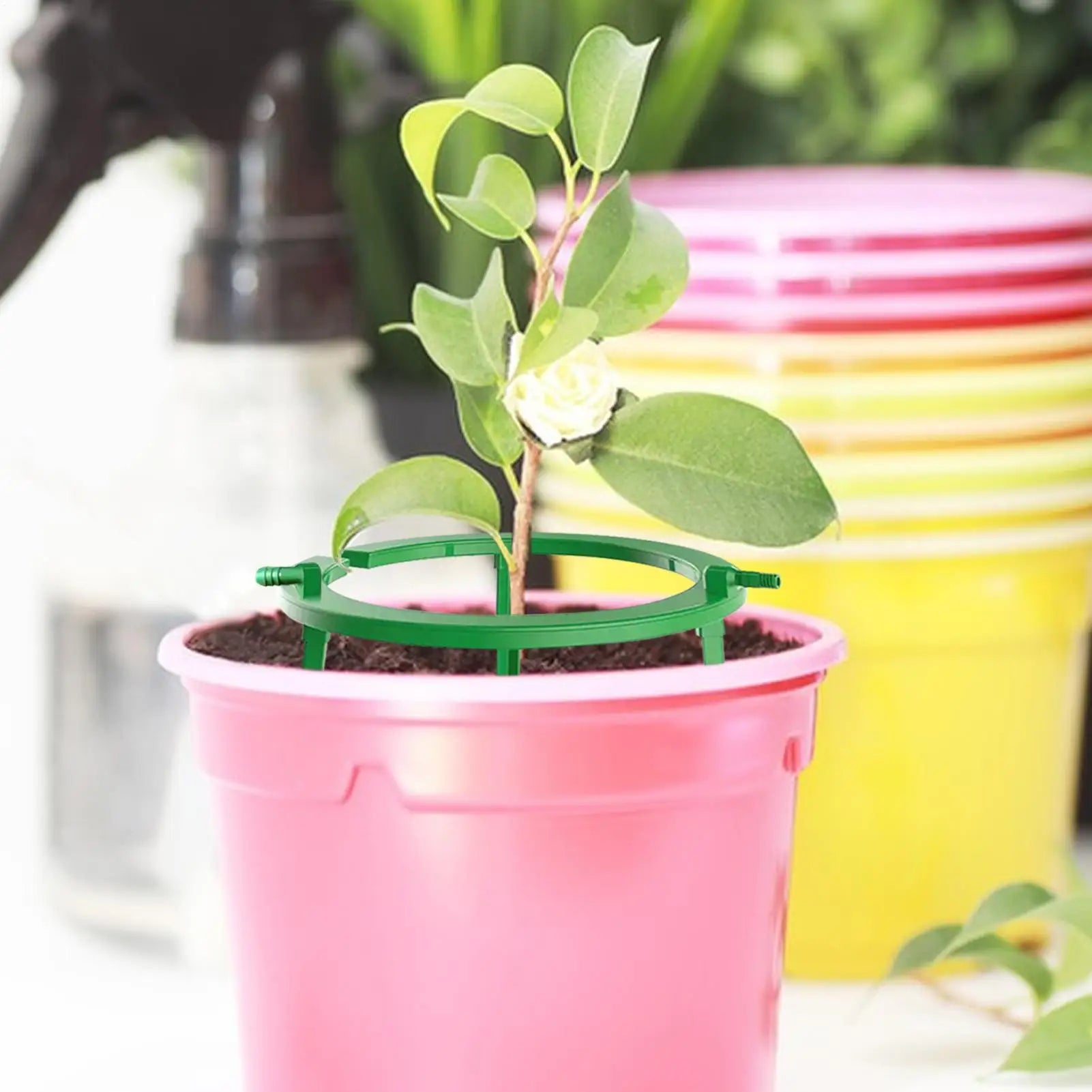 Hydro Halo Plant Drip Irrigation Watering Ring – 5" & 9"