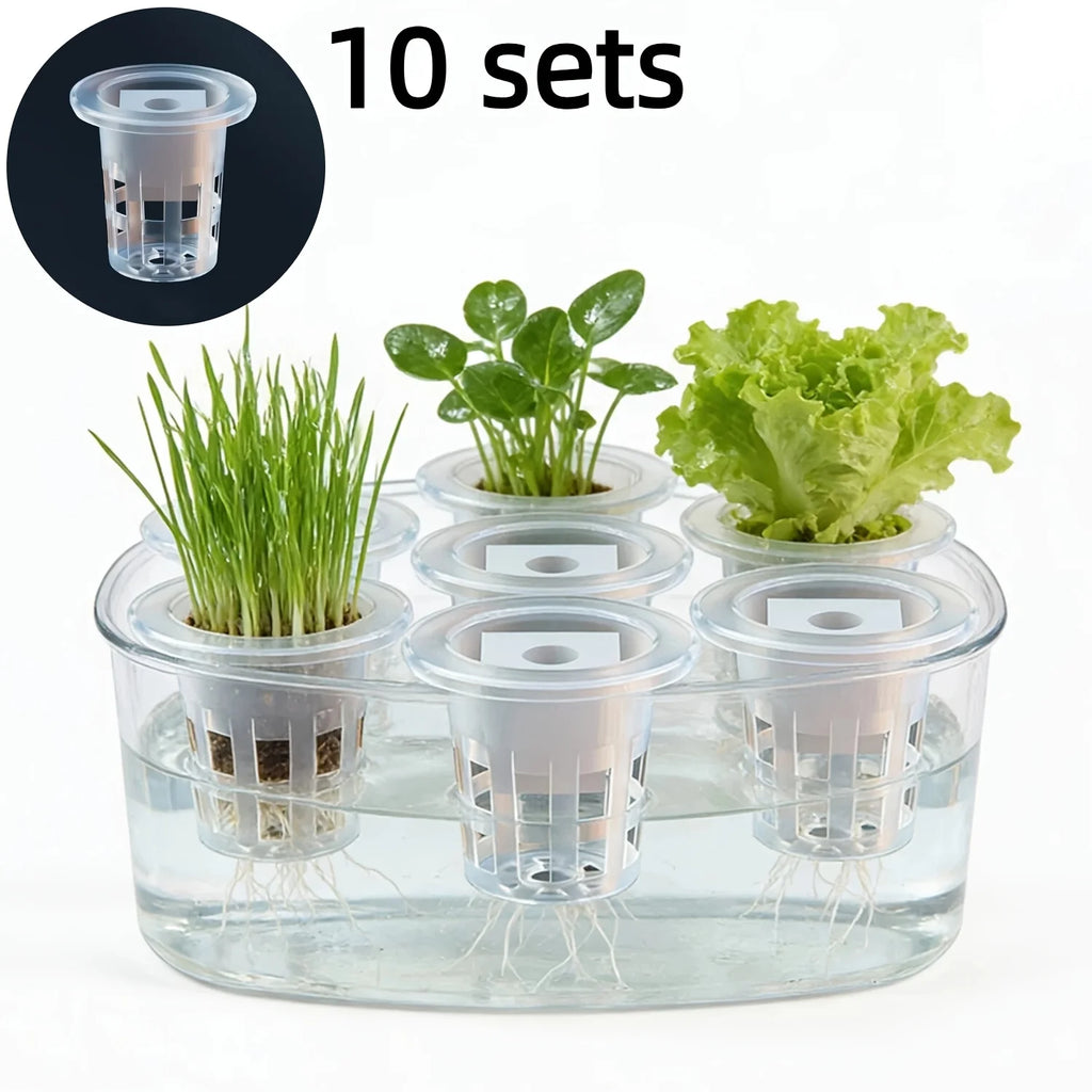 10pcs Hydroponic Seedling Basket Set (Includes 10 Planting Baskets + 10 Seedling Sponges)|Seed Stabilization to Prevent Drifting Oasis Select