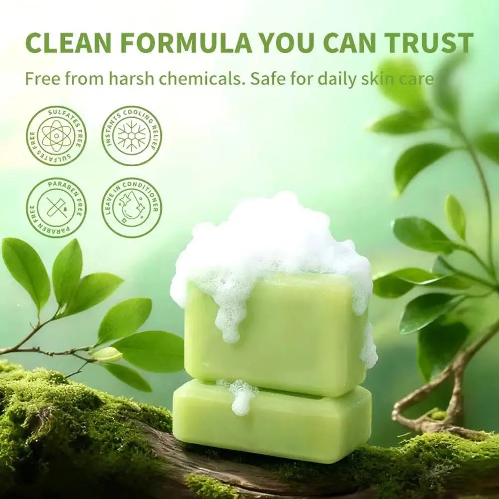 Tea Tree Oil Soap Bar for Face & Body Wash Handmade All Natural Organic Bath Soap Facial Cleanser Soothing Hydrating Body Wash Oasis Select