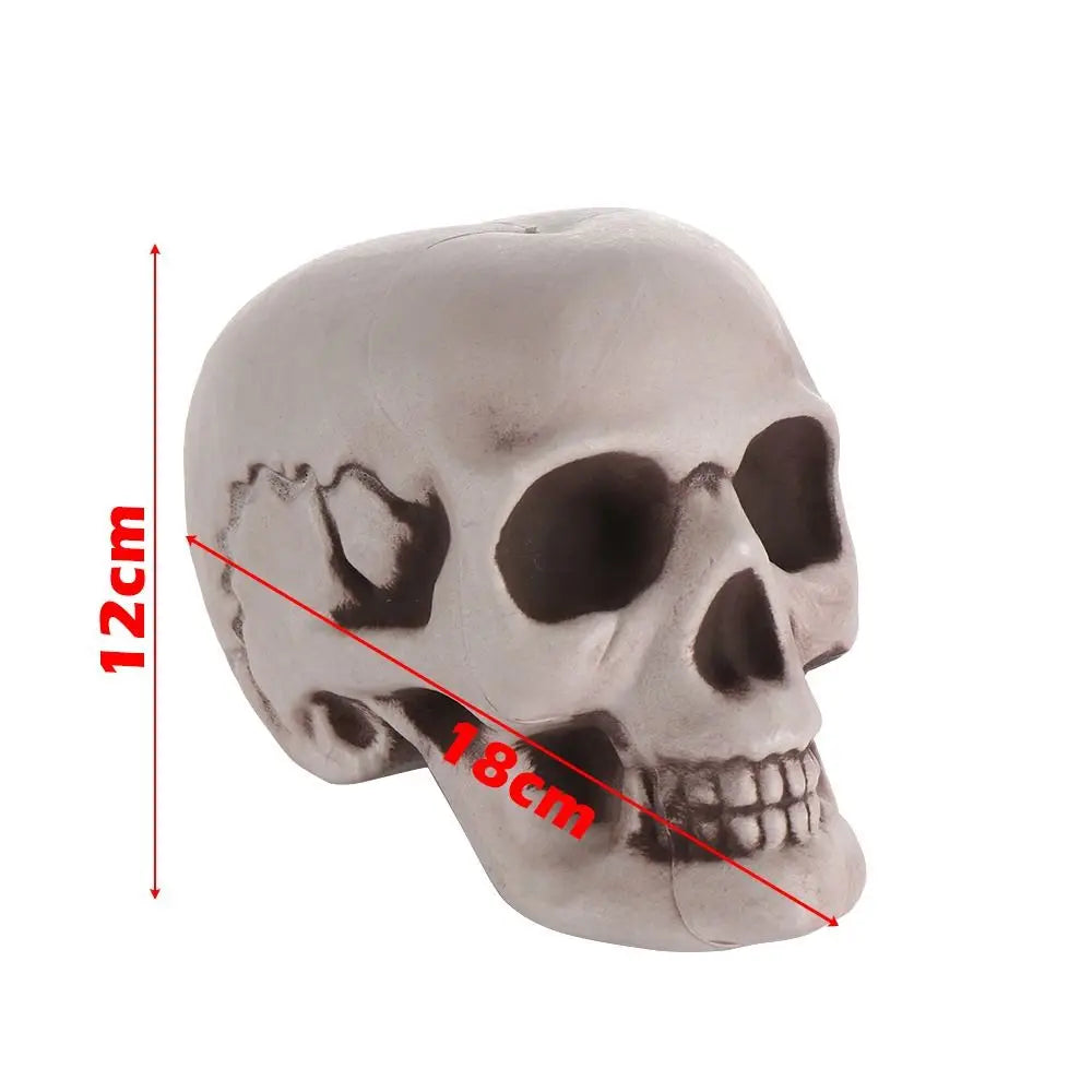 1PC All Size Party Decoration Home Decor Halloween Props Human Skeleton Skull Head Hanging Decor Oasis Select 12x13x18cm