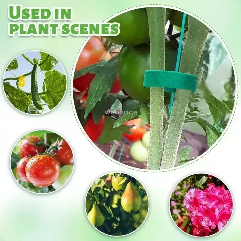 Self Adhesive Nylon Plant Ties Garden Twine Plant Bandage Hook Loop Vine Wrap Support Tape Garden Fastening Strips Cable Tie Oasis Select