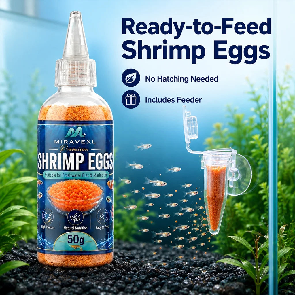 Aquarium Brine Shrimp Eggs Fish Food & Feeder Set Baby Fish Fry Feeding Dispenser Kit Fish Tank Accessories Artemia Cysts Helper Oasis Select
