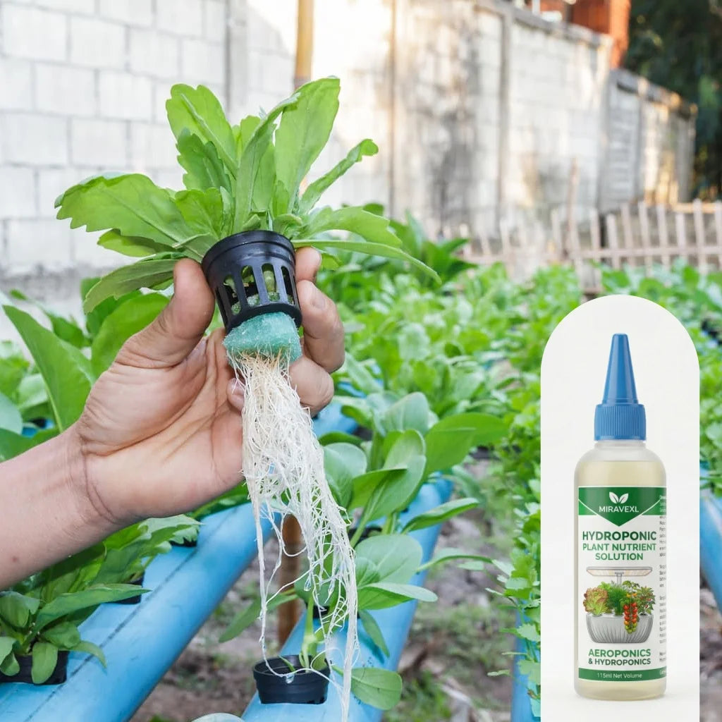 MIRAVEXL All-Purpose Hydroponic Nutrients | 115ml Slow Release Liquid Plant Food for Lush Indoor Gardens, Potted Plants, Flowers Oasis Select