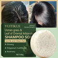 YUITIKUE Cypress Leaves Shampoo Bar with Ginseng & Rosemary, Fast Foaming Easy Rinse for Soft Shiny Hair Oasis Select Default Title