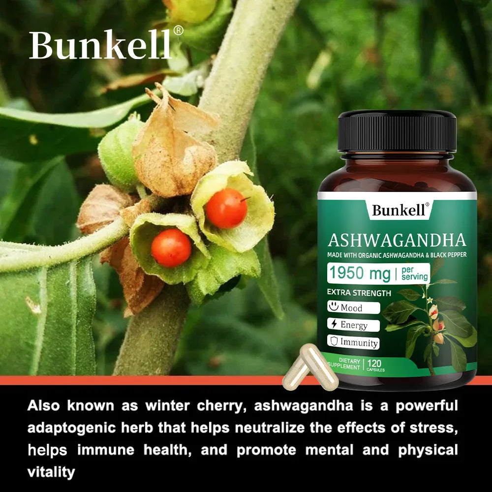Organic Ashwagandha 1950mg Capsules with Black Pepper | Stress Relief Herbal Supplement Oasis Select