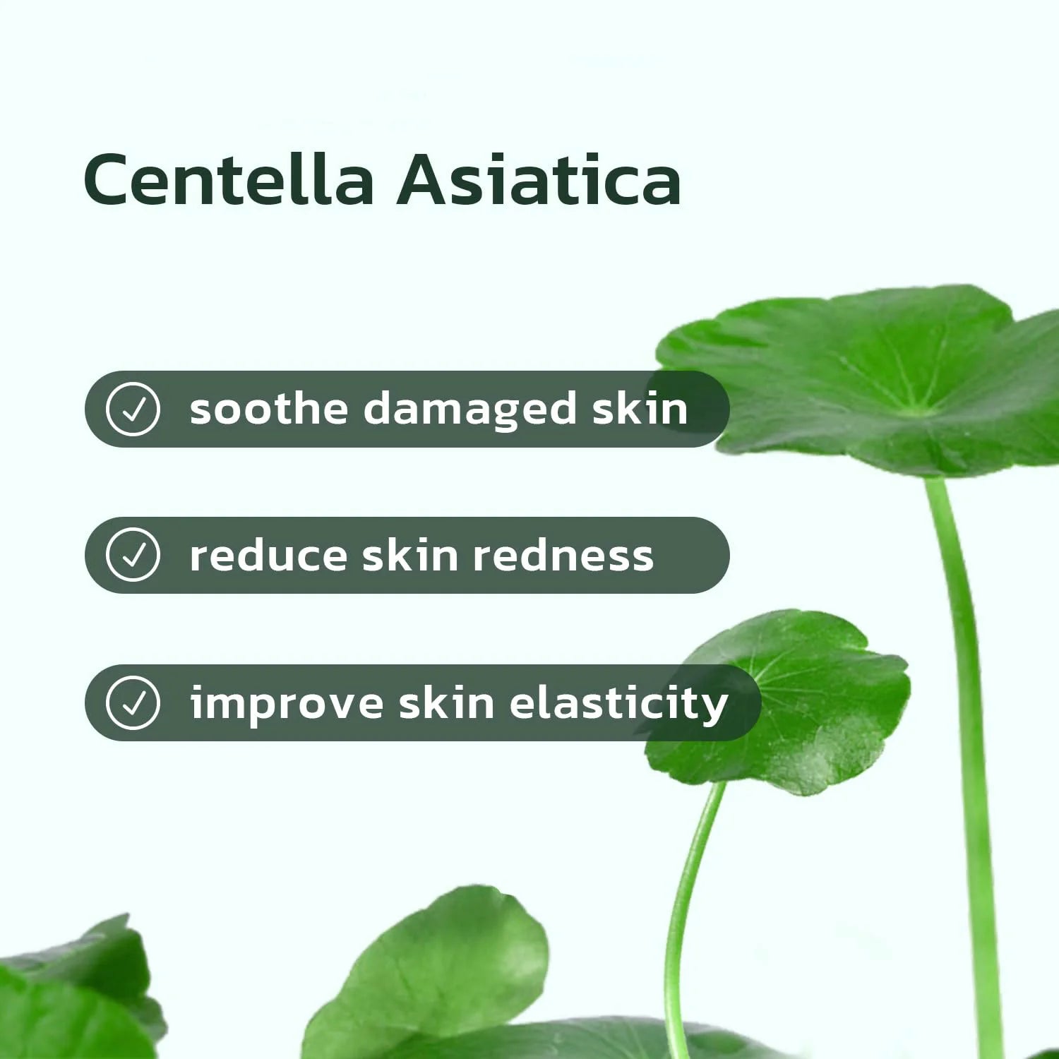 Centella Asiatica Face Serum – Hydrating Pore Minimizer Oil
