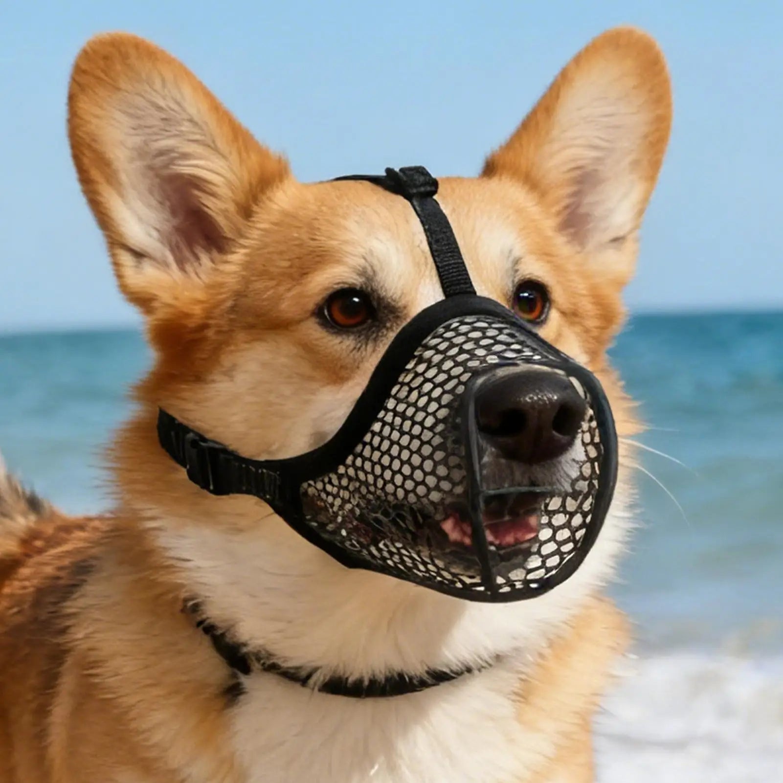 1PC Dog Muzzle Mesh Large Dog Breathable Grid Prevent Random Eating Stop Barking Golden Retriever Dog Mouth Cage Pet Mask Oasis Select