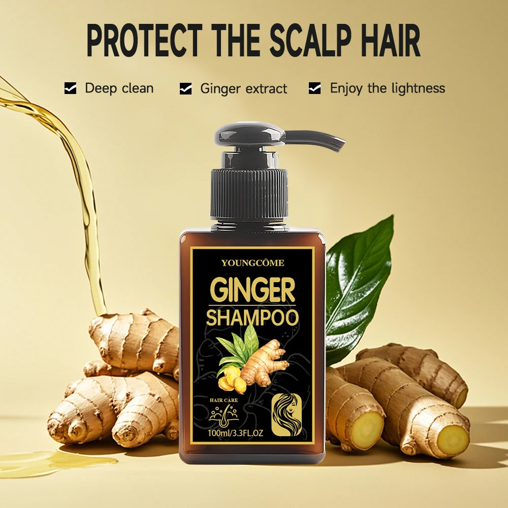 YOUNGCOME Ginger Shampoo 2-Set | 72H Oil Control & Volume 100ml
